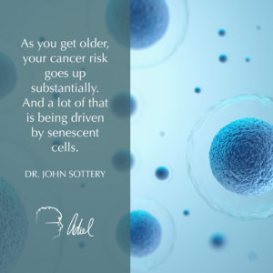Healing Your Cells and Preventing Cancer with Dr. John Sottery