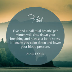 Breathing Can Drastically Improve Your Health – Adiel and Chad Discuss